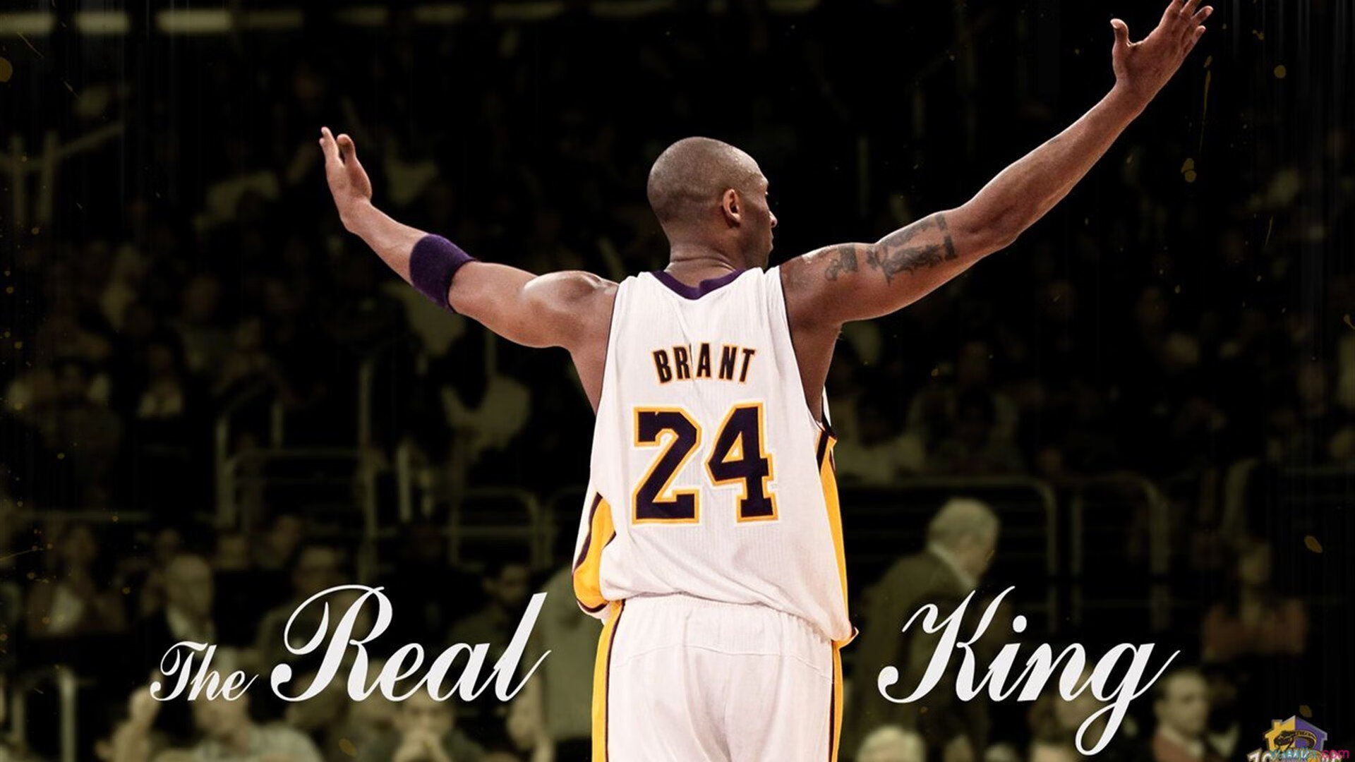 从足球场到篮球馆,奥纳纳的双重征服—南非争冠战与NBA总决赛的跨界传奇